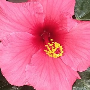 Meet your Posher, Terry